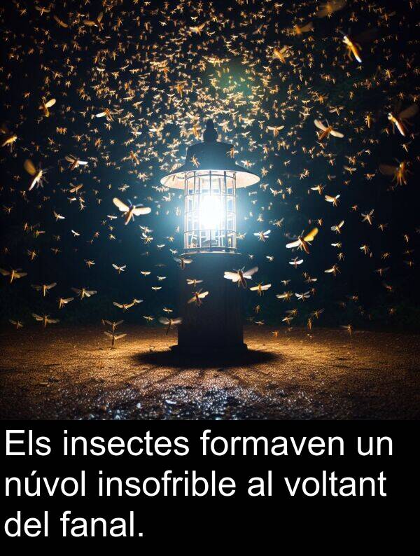 núvol: Els insectes formaven un núvol insofrible al voltant del fanal.
