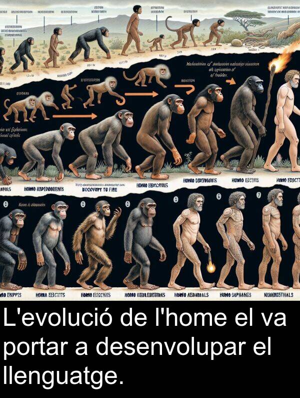 portar: L'evolució de l'home el va portar a desenvolupar el llenguatge.