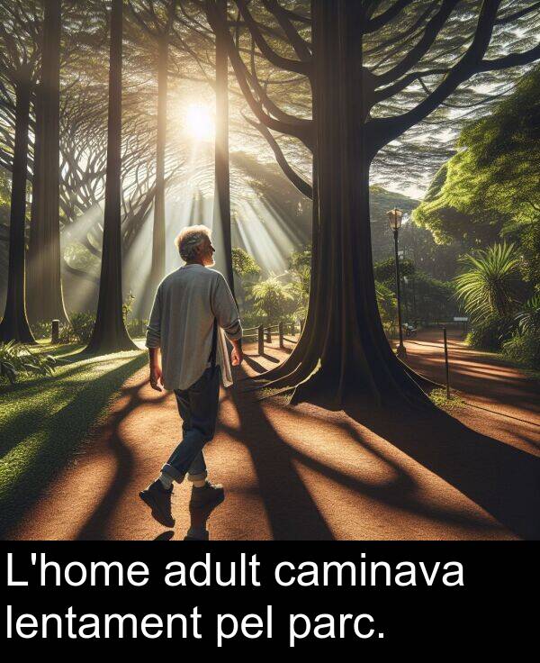 pel: L'home adult caminava lentament pel parc.