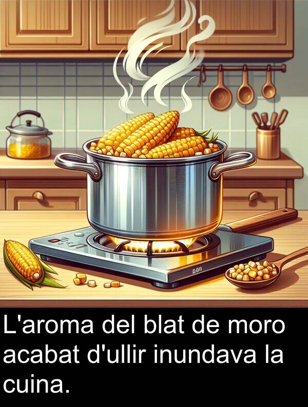 acabat: L'aroma del blat de moro acabat d'ullir inundava la cuina.