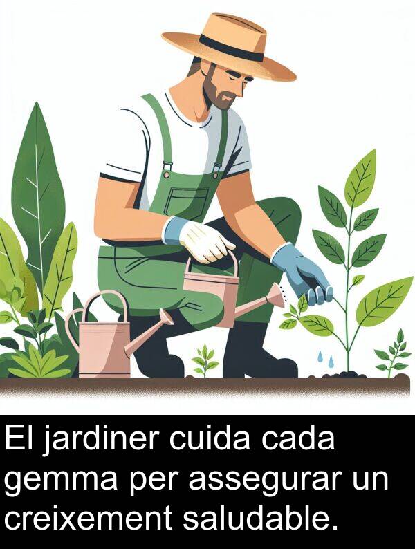 cuida: El jardiner cuida cada gemma per assegurar un creixement saludable.