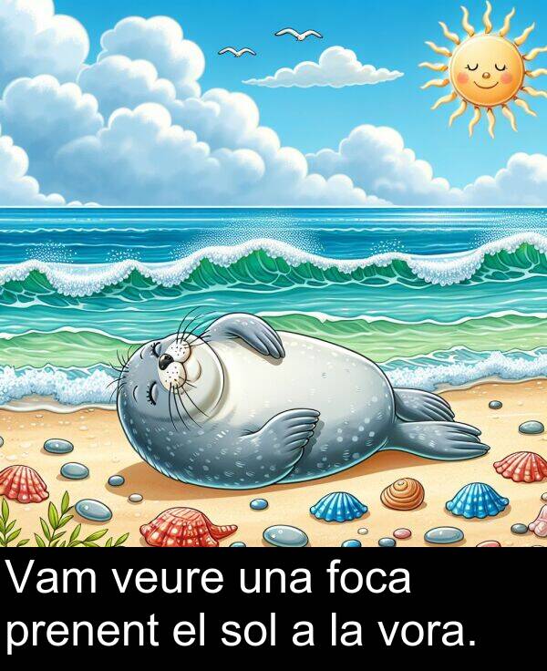 sol: Vam veure una foca prenent el sol a la vora.