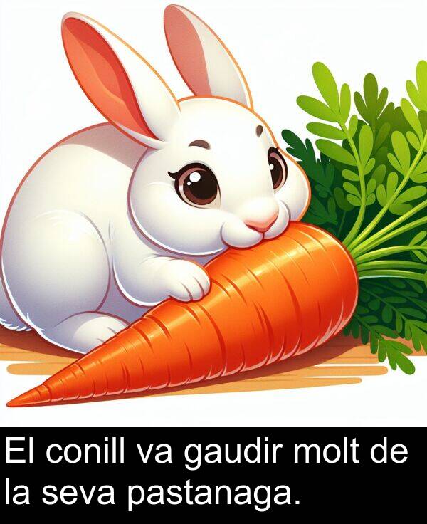 gaudir: El conill va gaudir molt de la seva pastanaga.