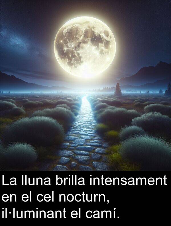 lluna: La lluna brilla intensament en el cel nocturn, il·luminant el camí.