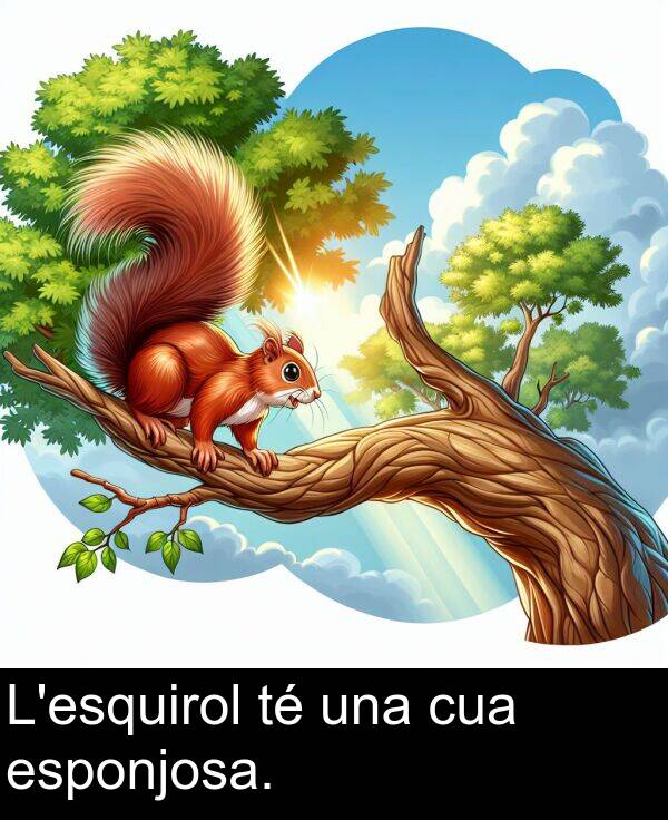 una: L'esquirol té una cua esponjosa.