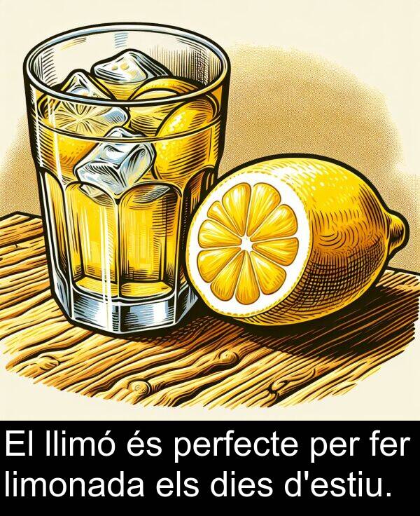 perfecte: El llimó és perfecte per fer limonada els dies d'estiu.