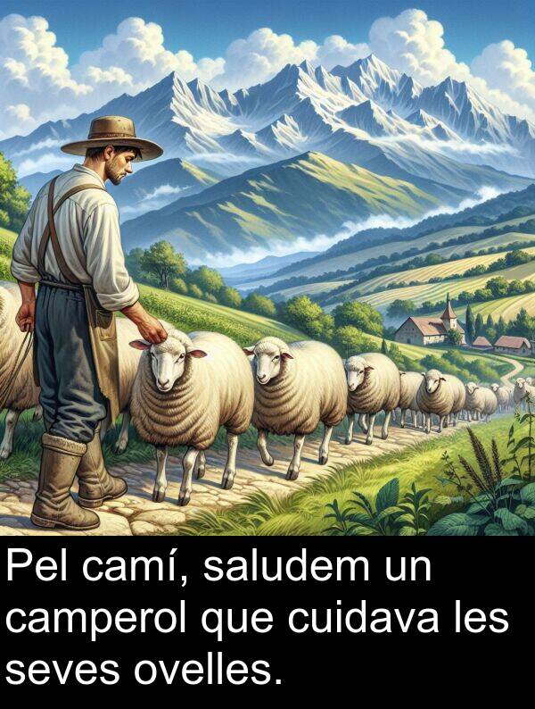camperol: Pel camí, saludem un camperol que cuidava les seves ovelles.