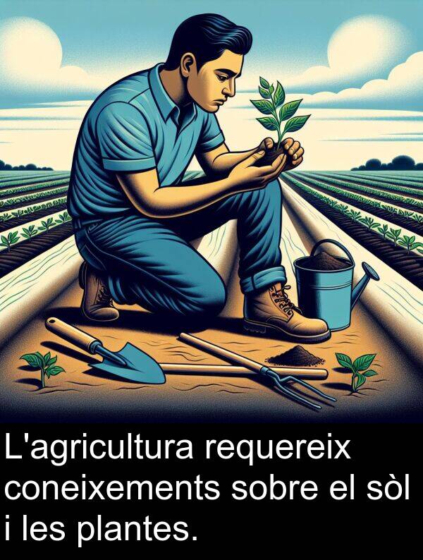 coneixements: L'agricultura requereix coneixements sobre el sòl i les plantes.