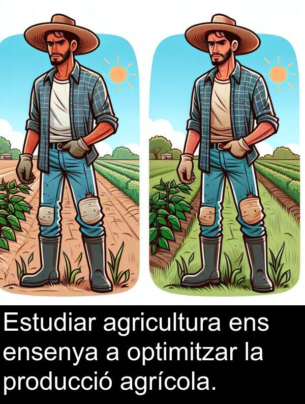 ensenya: Estudiar agricultura ens ensenya a optimitzar la producció agrícola.