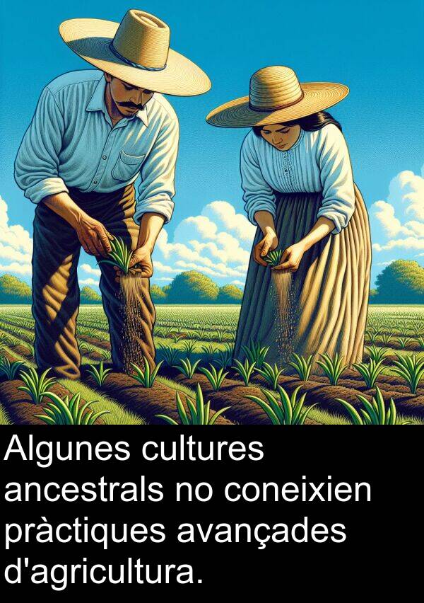 cultures: Algunes cultures ancestrals no coneixien pràctiques avançades d'agricultura.