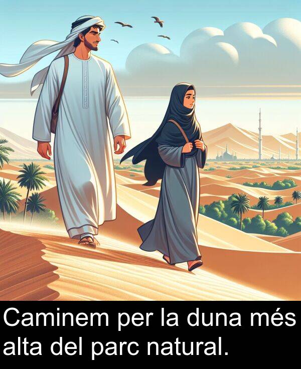 més: Caminem per la duna més alta del parc natural.