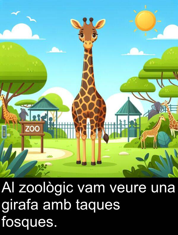 zoològic: Al zoològic vam veure una girafa amb taques fosques.
