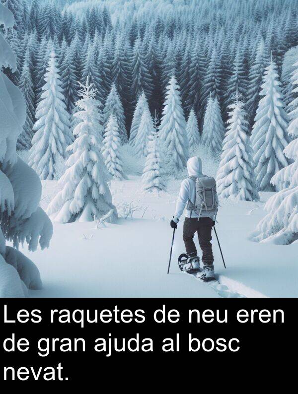 neu: Les raquetes de neu eren de gran ajuda al bosc nevat.