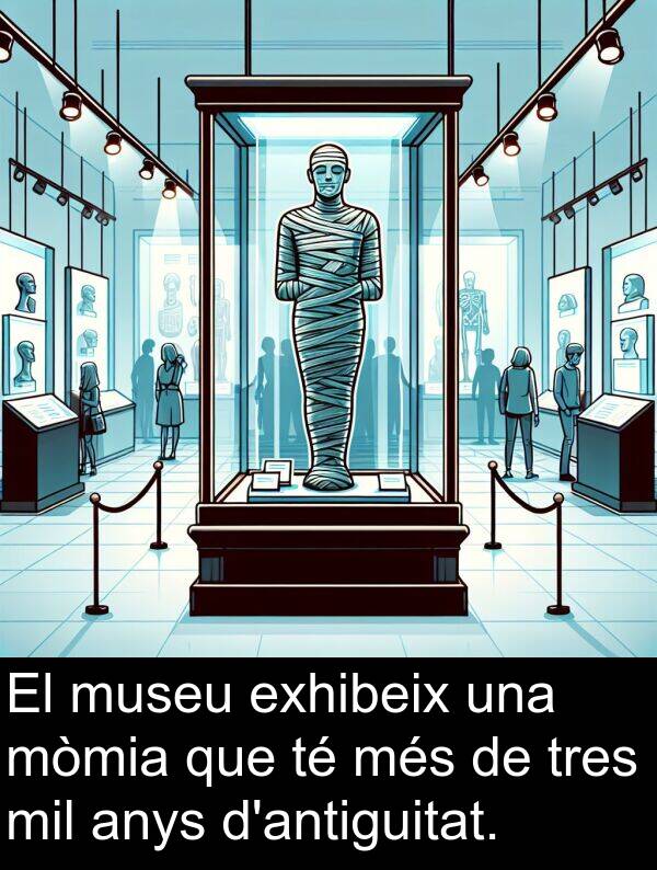 exhibeix: El museu exhibeix una mòmia que té més de tres mil anys d'antiguitat.