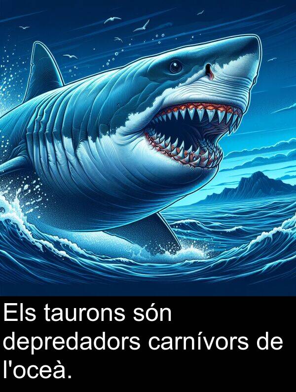 carnívors: Els taurons són depredadors carnívors de l'oceà.