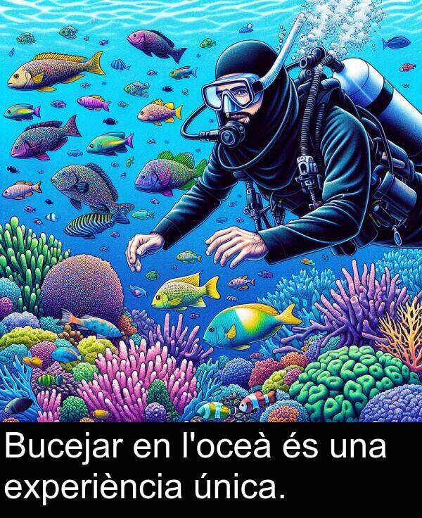 experiència: Bucejar en l'oceà és una experiència única.