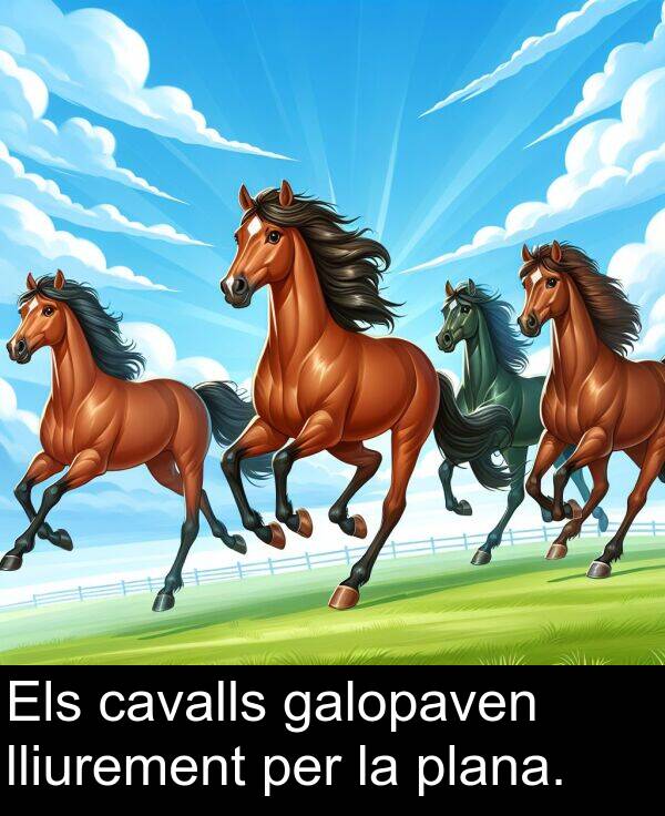 cavalls: Els cavalls galopaven lliurement per la plana.