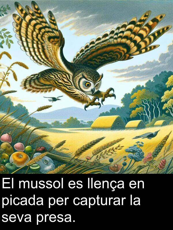 mussol: El mussol es llença en picada per capturar la seva presa.