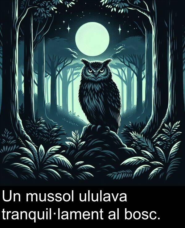 mussol: Un mussol ululava tranquil·lament al bosc.