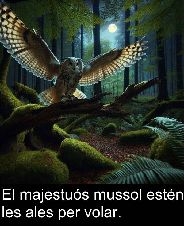 mussol: El majestuós mussol estén les ales per volar.