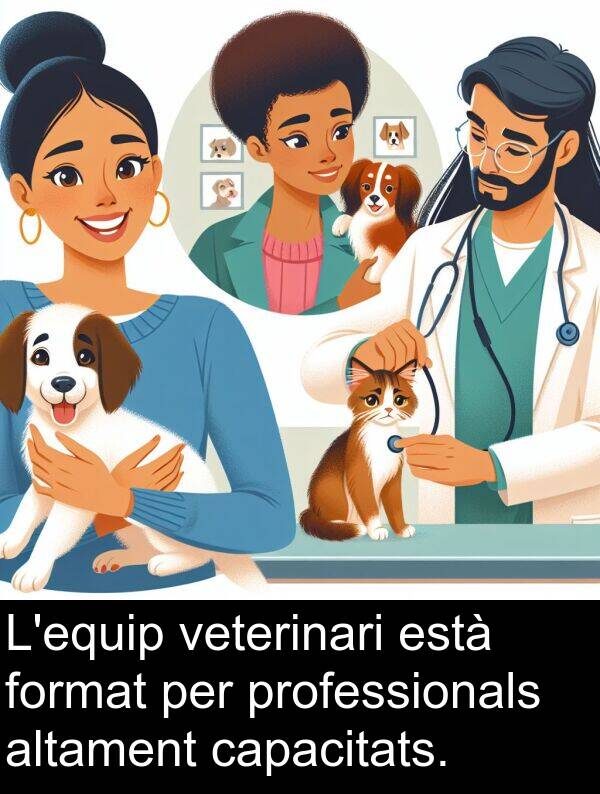 capacitats: L'equip veterinari està format per professionals altament capacitats.