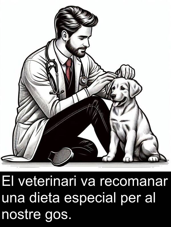 nostre: El veterinari va recomanar una dieta especial per al nostre gos.