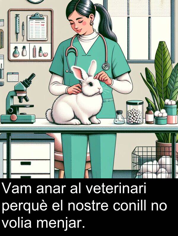 anar: Vam anar al veterinari perquè el nostre conill no volia menjar.