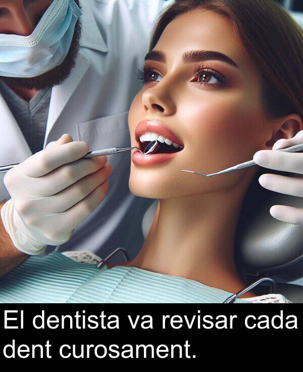 cada: El dentista va revisar cada dent curosament.