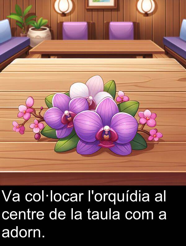 taula: Va col·locar l'orquídia al centre de la taula com a adorn.