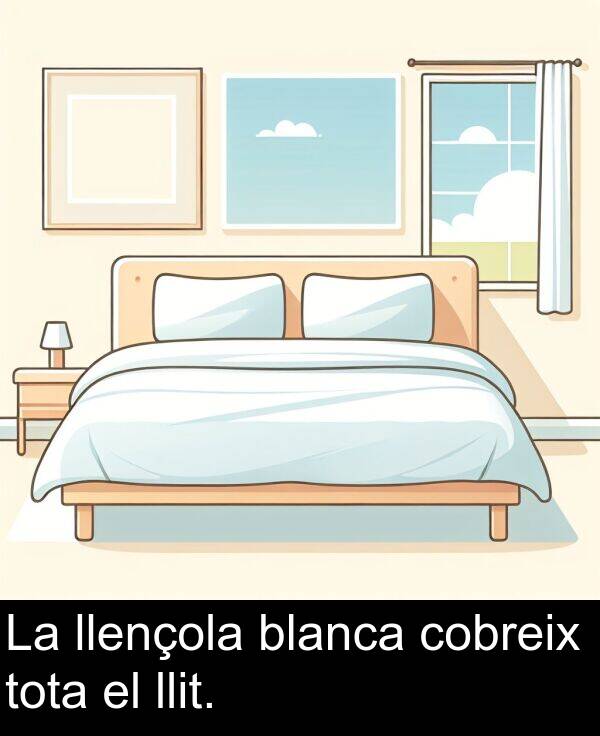 tota: La llençola blanca cobreix tota el llit.