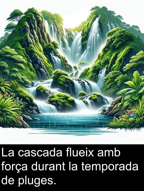 força: La cascada flueix amb força durant la temporada de pluges.