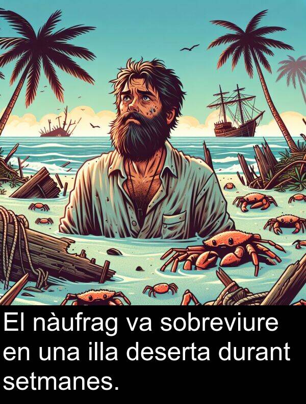 nàufrag: El nàufrag va sobreviure en una illa deserta durant setmanes.
