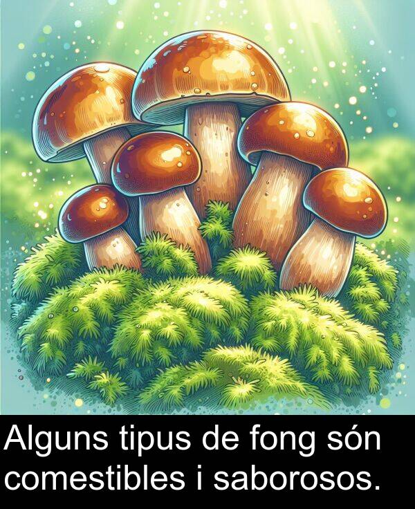 tipus: Alguns tipus de fong són comestibles i saborosos.