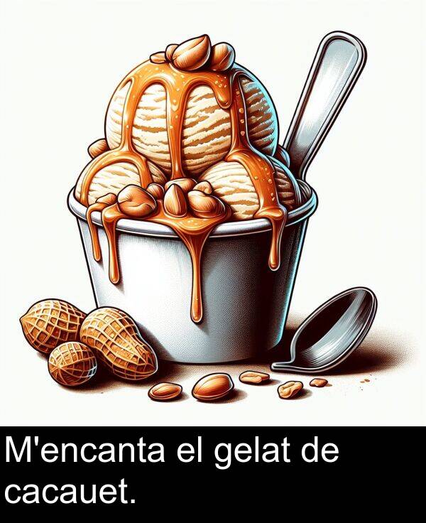 cacauet: M'encanta el gelat de cacauet.