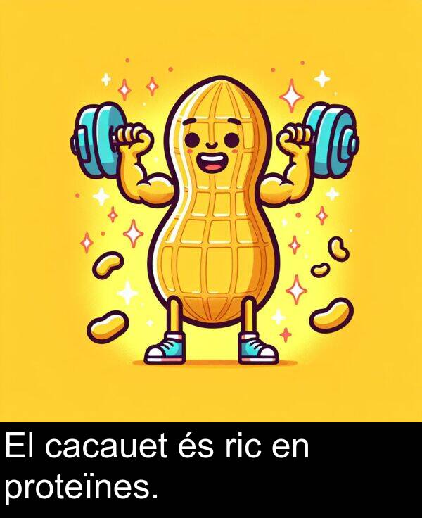 cacauet: El cacauet és ric en proteïnes.