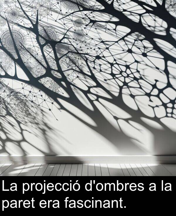 paret: La projecció d'ombres a la paret era fascinant.