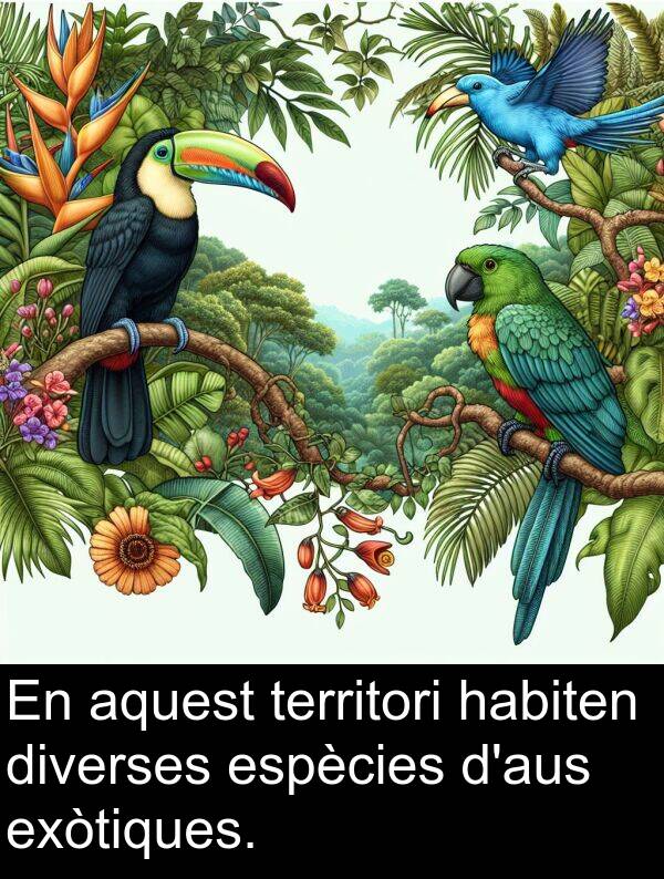 diverses: En aquest territori habiten diverses espècies d'aus exòtiques.