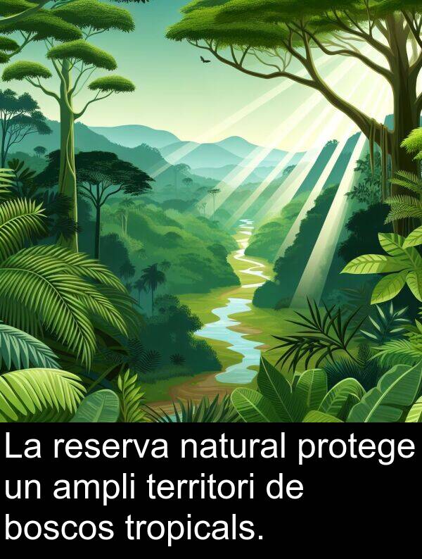 natural: La reserva natural protege un ampli territori de boscos tropicals.