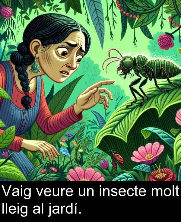 jardí: Vaig veure un insecte molt lleig al jardí.
