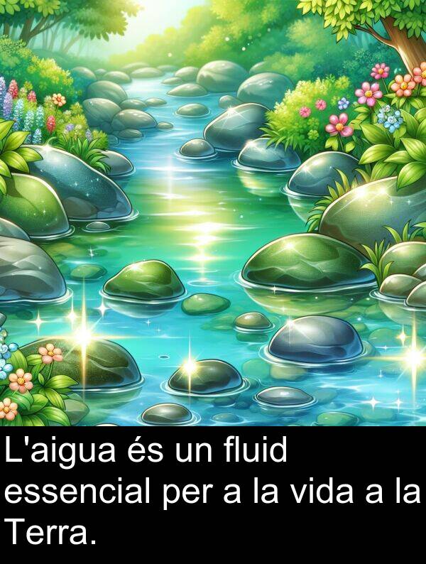 fluid: L'aigua és un fluid essencial per a la vida a la Terra.