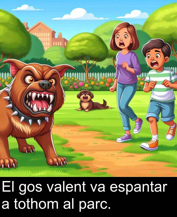 tothom: El gos valent va espantar a tothom al parc.