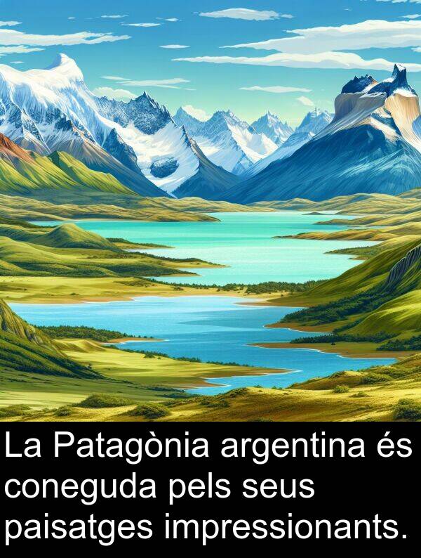impressionants: La Patagònia argentina és coneguda pels seus paisatges impressionants.