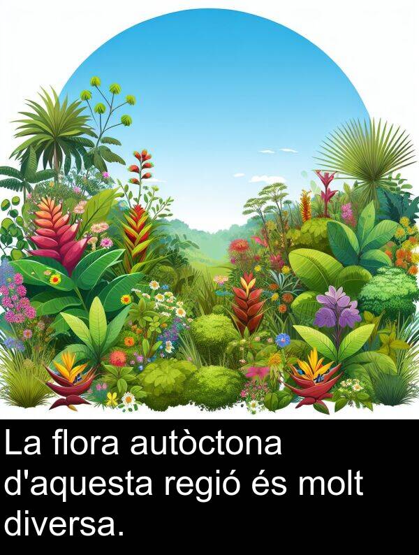 diversa: La flora autòctona d'aquesta regió és molt diversa.