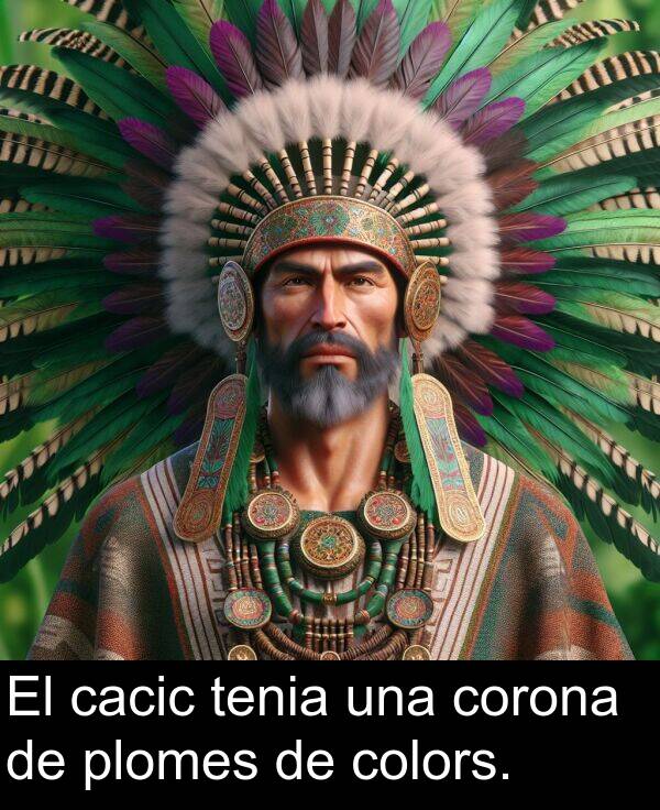 tenia: El cacic tenia una corona de plomes de colors.