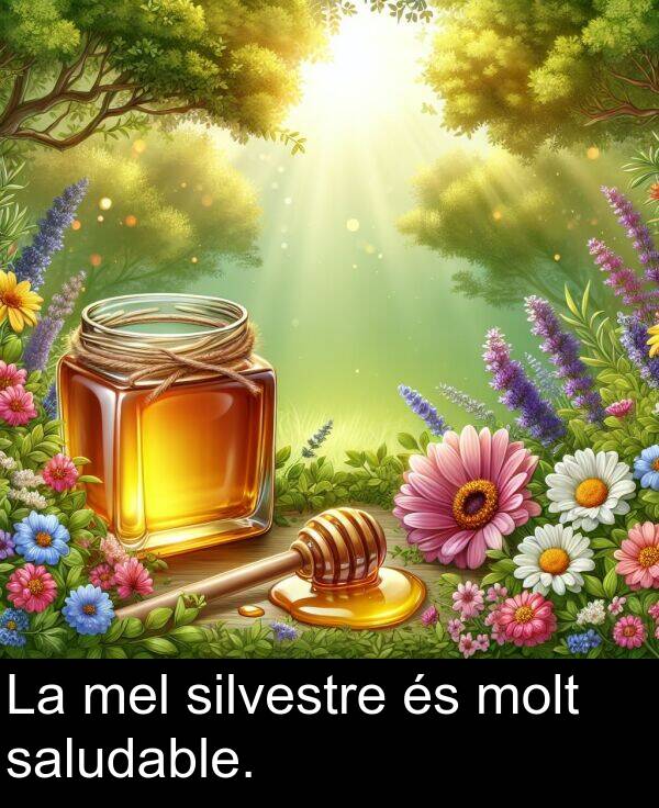 silvestre: La mel silvestre és molt saludable.