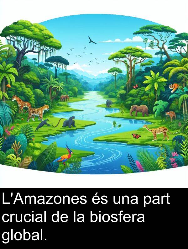 part: L'Amazones és una part crucial de la biosfera global.
