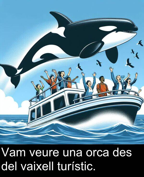 des: Vam veure una orca des del vaixell turístic.