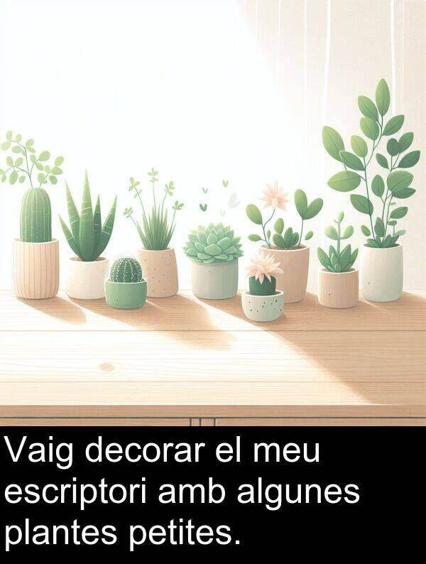 decorar: Vaig decorar el meu escriptori amb algunes plantes petites.
