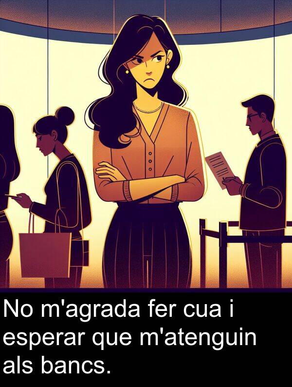 bancs: No m'agrada fer cua i esperar que m'atenguin als bancs.