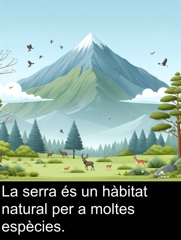 hàbitat: La serra és un hàbitat natural per a moltes espècies.
